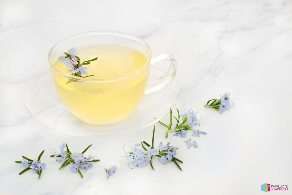herbes médicinales pour digestion